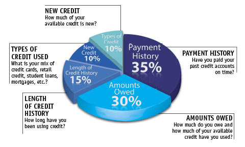 The components of your FICO Score in a pie chart